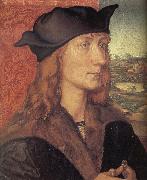 Albrecht Durer Hans Tucher France oil painting artist